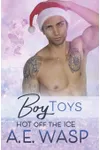 Boy Toys