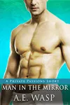 Man in the Mirror