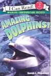 Amazing Dolphins!