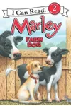 Farm Dog