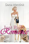 Just Right Romance