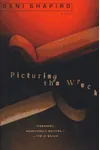 Picturing the Wreck