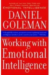 Working with Emotional Intelligence