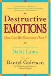 Destructive Emotions: A Scientific Dialogue with the Dalai Lama