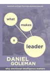 What Makes a Leader: Why Emotional Intelligence Matters