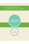 Organizational Awareness