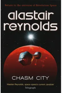 Chasm City
