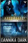 Afterlife