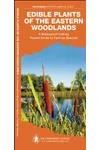 Edible Plants of the Eastern Woodlands