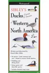 Sibley's Ducks, Geese,& Swans of Western N.A.
