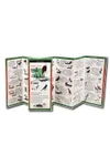 Sibley's Birds of the Alaskan Coast