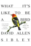 What It's Like to Be a Bird