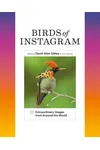 Birds of Instagram