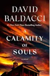 Cover of A Calamity of Souls