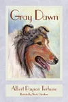 Gray Dawn