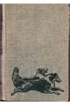 The Critter and Other Dogs