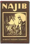 Najib