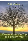 Heaven from the Top of a Cherry Tree