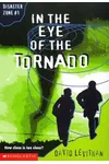 In the Eye of the Tornado