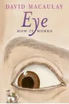 Eye: How It Works