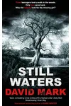 Still Waters / Into the Woods