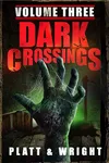 Dark Crossings: Volume 3