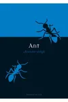 Ant