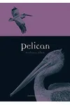 Pelican