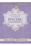 Llewellyn's Little Book of Psychic Development