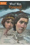 What Was Pompeii?