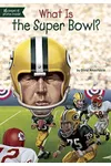 What Is the Super Bowl?