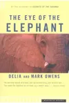 The Eye of the Elephant / Survivor's Song
