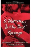 A Hot Man Is the Best Revenge