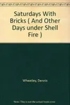 Saturdays with Bricks