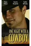 One Night With A Cowboy