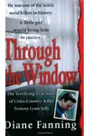 Through the Window