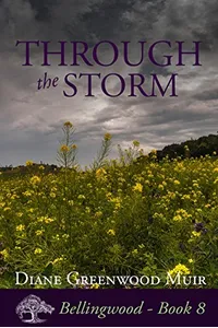 Through the Storm