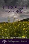 Through the Storm