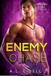 Enemy Chase
