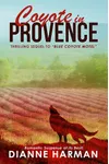 Coyote in Provence
