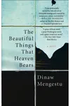 The Beautiful Things That Heaven Bears / Children of the Revolution