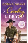 A Cowboy Like You