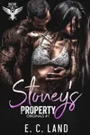 Stoney's Property