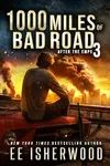 1000 Miles of Bad Road 3