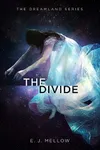 The Divide