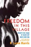 Freedom in this Village Twenty-Five Years of Black Gay Men's Writing