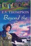 Beyond the Storm