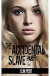 The Accidental Slave