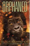 Orphaned