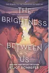 The Brightness Between Us